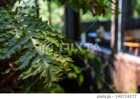 植物 工場 プランツ 140724277
