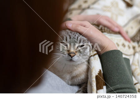 可愛い猫に触れる飼い主 140724358