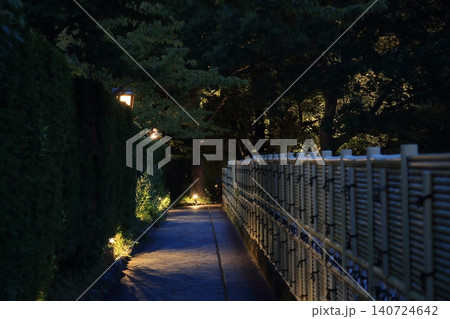 夜の細い道 夜の細い道 140724642