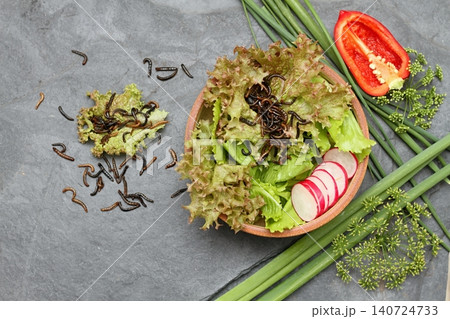 Edible mealworms lat. Tenebrio molitor and mixed fresh lettuce served in the bowl on stone table, flat lay Edible mealworms lat. Tenebrio molitor and mixed fresh lettuce served in the bowl on stone table, flat lay 140724733