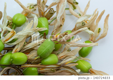 Exploring the unique shapes and textures of green seeds and dried husks in a natural display 140724833