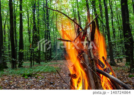 Campfire burns brightly among tall trees in a serene forest during early evening hours Campfire burns brightly among tall trees in a serene forest during early evening hours 140724864