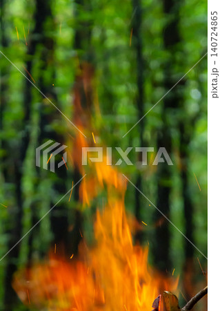 Flames dance in the forest as sunlight filters through vibrant green foliage during a serene camping evening Flames dance in the forest as sunlight filters through vibrant green foliage during a serene camping evening 140724865