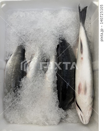 Fresh fish displayed on ice in white container, ideal for culinary background or food industry use Fresh fish displayed on ice in white container, ideal for culinary background or food industry use 140725105