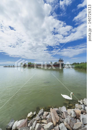 Swan swimming near Keszthely Balaton Bath House Hungary Swan swimming near Keszthely Balaton Bath House Hungary 140726313
