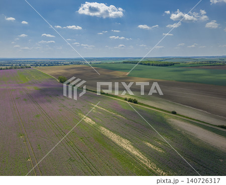 Aerial view of agricultural fields in Hosteradice, Czechia Aerial view of agricultural fields in Hosteradice, Czechia 140726317