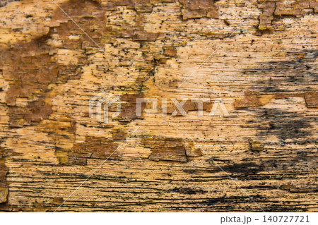 Detailed Weathered Tree Bark Texture Background with Natural Rustic Pattern Detailed Weathered Tree Bark Texture Background with Natural Rustic Pattern 140727721