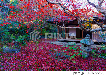 紅葉に包まれた厭離庵 紅葉に包まれた厭離庵 140728269