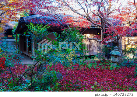 紅葉に包まれた厭離庵 紅葉に包まれた厭離庵 140728272
