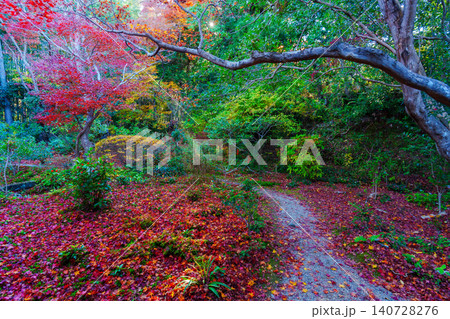 紅葉に包まれた厭離庵 紅葉に包まれた厭離庵 140728276