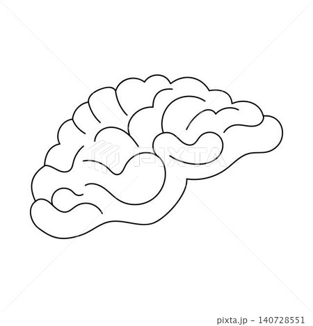 Human brain outline icon on white background Human brain outline icon on white background 140728551