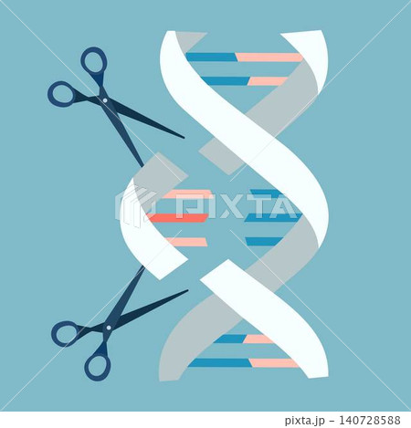 Genetic engineering. Human chromosome editing concept 140728588