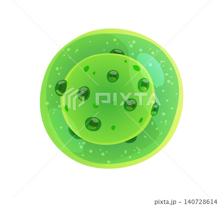 Ameba germ or bacteria bacillus and protozoa or protista microorganism cartoon icon. Amoeba or green parasite virus and microbe of microbiota, bacterium pathogen micro organism or protist microbiome Ameba germ or bacteria bacillus and protozoa or protista microorganism cartoon icon. Amoeba or green parasite virus and microbe of microbiota, bacterium pathogen micro organism or protist microbiome 140728614
