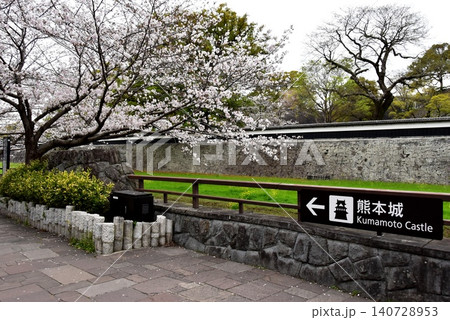 熊本県 熊本城の長塀と坪井川と満開桜 熊本県 熊本城の長塀と坪井川と満開桜 140728953