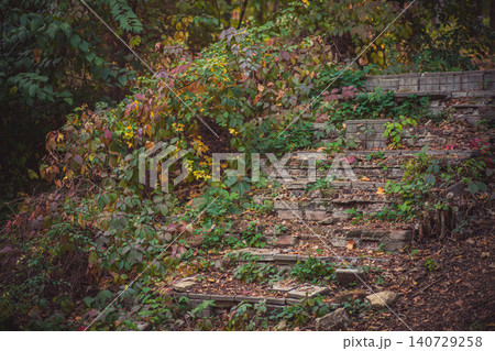 Old brick concrete stairs overgrown autumn foliage vines, covered fallen leaves natural setting 140729258