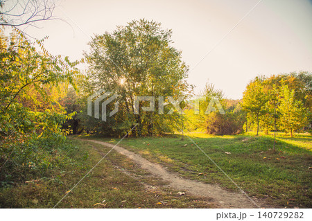Forest path, sun rays illuminating autumn leaves, peaceful nature landscape Forest path, sun rays illuminating autumn leaves, peaceful nature landscape 140729282