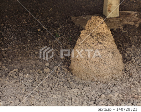 A severe termite infestation is evident with a large termite mound inside a building. Pest control, property inspection, and structural damage concepts. Home maintenance and inspection concepts. 140729523