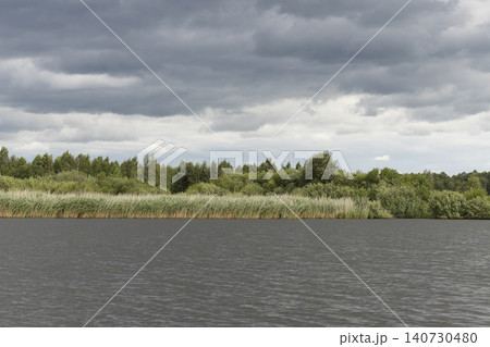 Reed bed along a lakeshore under cloudy sky. Calm water borders wetland vegetation and tree line. Nature background for travel, ecology, and landscape use.. Reed bed along a lakeshore under cloudy sky. Calm water borders wetland vegetation and tree line. Nature background for travel, ecology, and landscape use.. 140730480