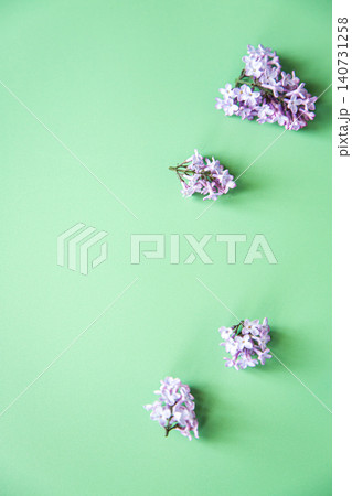 beautiful lilac blossoms framing green copy space beautiful lilac blossoms framing green copy space 140731258