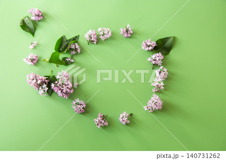 Spring lilac flowers with leaves on green backdrop Spring lilac flowers with leaves on green backdrop 140731262