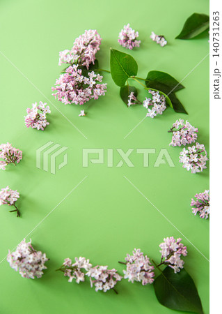 Minimal lilac branches frame on light green background Minimal lilac branches frame on light green background 140731263