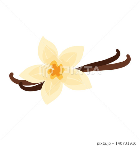 Vanilla flower and pods creating sweet aroma 140731910