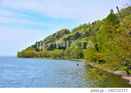 《滋賀県》新緑の琵琶湖海津大崎 《滋賀県》新緑の琵琶湖海津大崎 140732177