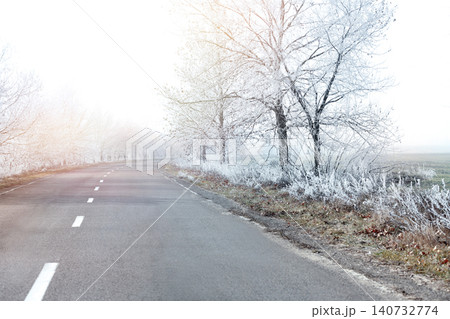 Empty road between trees covered with hoarfrost at rural site in early winter morning Empty road between trees covered with hoarfrost at rural site in early winter morning 140732774