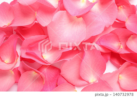 Fresh pink rose petals as background, closeup Fresh pink rose petals as background, closeup 140732978