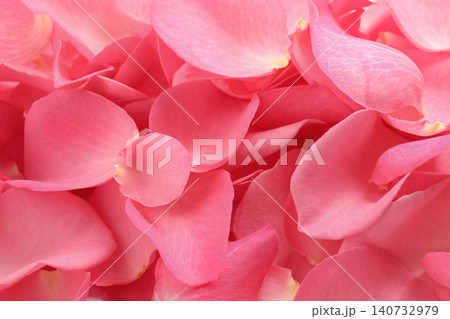 Fresh pink rose petals as background, closeup Fresh pink rose petals as background, closeup 140732979