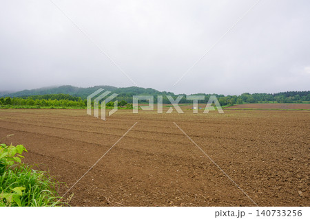 新十津川町の奥地にある一面のそば畑(種まき前) 新十津川町の奥地にある一面のそば畑(種まき前) 140733256