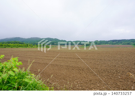 新十津川町の奥地にある一面のそば畑(種まき前) 新十津川町の奥地にある一面のそば畑(種まき前) 140733257