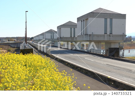 春の荒川:六堰頭首工/重忠橋(埼玉県深谷市) 春の荒川:六堰頭首工/重忠橋(埼玉県深谷市) 140733321