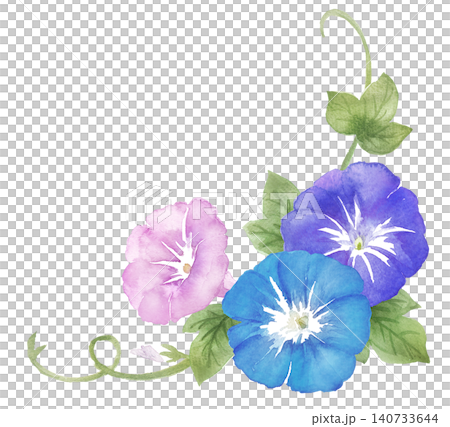 Watercolor morning glory frame material Watercolor morning glory frame material 140733644