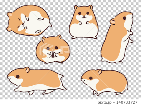 一組簡單可愛的倉鼠插圖 一組簡單可愛的倉鼠插圖 140733727