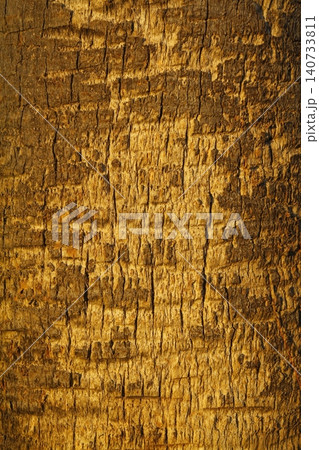 Wooden Texture Background.Cropped Shot Of A Textured Background.  140733811