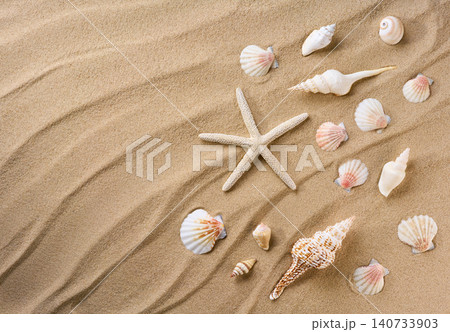 Natural seashore textured surface with seashells. Sea beach sand background with seashells top view. Natural seashore textured surface with seashells. Sea beach sand background with seashells top view. 140733903