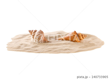 Seashells in a sand pile isolated on white background. Seashells in a pile of sand isolated on white background. Seashells in a sand pile isolated on white background. Seashells in a pile of sand isolated on white background. 140733905