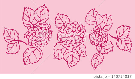Set of hydrangea flowers. Vintage sketch style illustration. Set of hydrangea flowers. Vintage sketch style illustration. 140734037