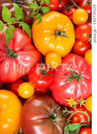 Colorful heirloom tomatoes and cherry tomatoes basket harvest 140734129