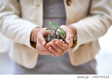 Hands, plant or woman with leaf for green business, soil or agriculture, startup or economy growth closeup. Sustainability, future or entrepreneur zoom with accountability, funding or ngo support Hands, plant or woman with leaf for green business, soil or agriculture, startup or economy growth closeup. Sustainability, future or entrepreneur zoom with accountability, funding or ngo support 140734528