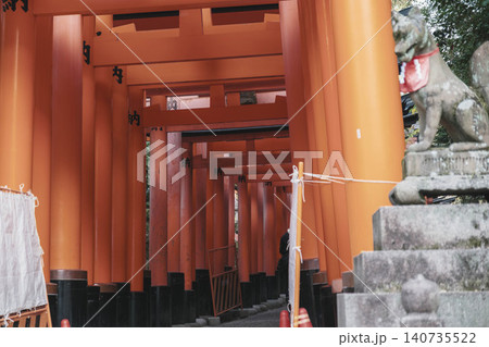 [伏見稲荷大社]京都を代表する歴史的な寺社仏閣の風景 / 千本鳥居が続く 140735522