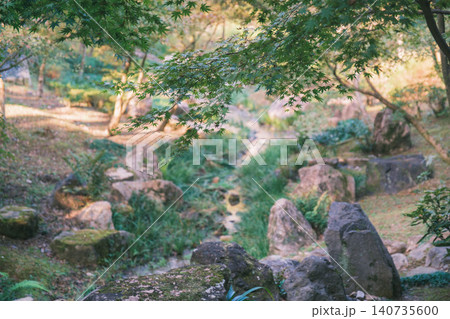[伏見稲荷大社]京都を代表する歴史的な寺社仏閣の風景 / 京都の自然 140735600