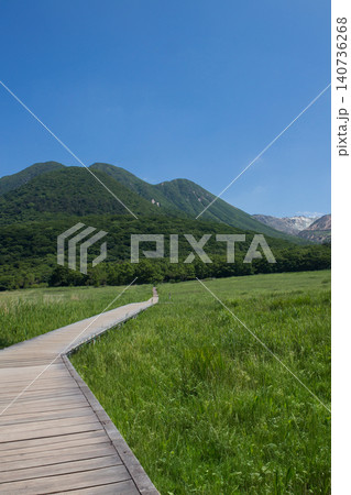 新緑の長者原タデ原湿原とくじゅう連山 新緑の長者原タデ原湿原とくじゅう連山 140736268