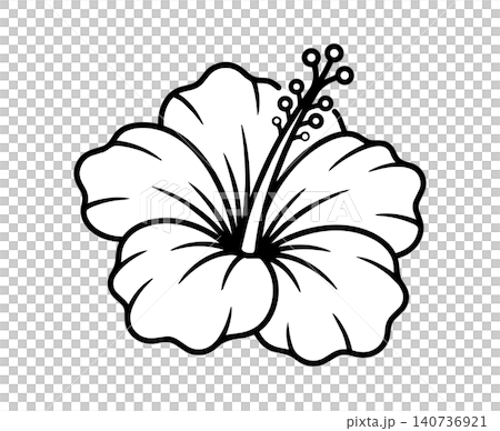 一幅手繪風格的芙蓉花線條畫，營造出熱帶氛圍。 140736921