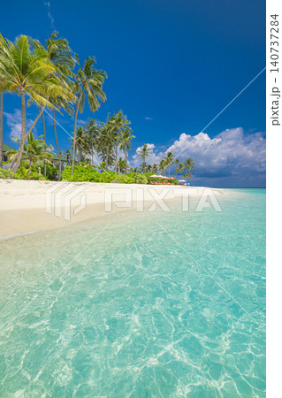 Bright tropical beach palm trees turquoise sea. Vertical paradise island white sand summer. Sunny coastal escape clear blue sky, idyllic exotic holiday getaway Bright tropical beach palm trees turquoise sea. Vertical paradise island white sand summer. Sunny coastal escape clear blue sky, idyllic exotic holiday getaway 140737284