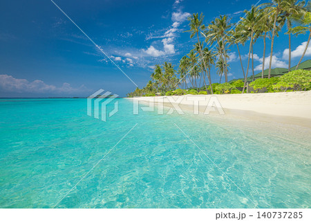 Beautiful tropical beach palm trees soft white sand. Turquoise lagoon lush island greenery. Sunny paradise shore summer sky, peaceful exotic coastal escape Beautiful tropical beach palm trees soft white sand. Turquoise lagoon lush island greenery. Sunny paradise shore summer sky, peaceful exotic coastal escape 140737285
