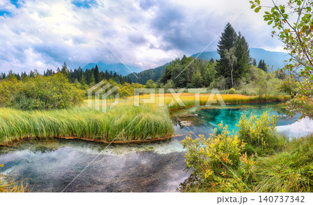 Gorgeous summer view on Zelenci lake with beautiful reflections in water. 140737342