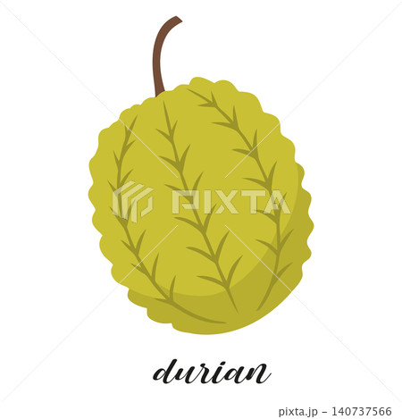 Illustration of durian fruit isolated on white background. Summer tropical fruit. Illustration of durian fruit isolated on white background. Summer tropical fruit. 140737566