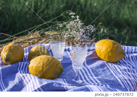 Lemons and glasses of lemonade on a striped blanket in a meadow Lemons and glasses of lemonade on a striped blanket in a meadow 140737872